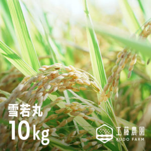 2025 雪若丸 10kg