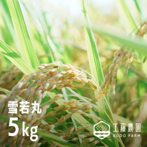 2025 雪若丸 5kg